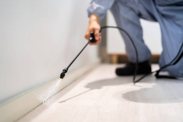 Professional exterminator conducting IPM assessment in Danvers
