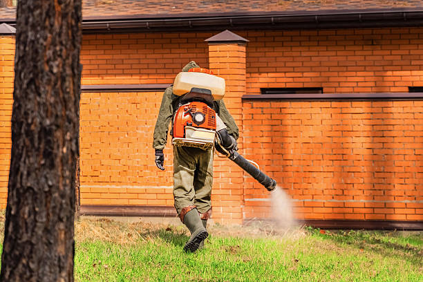 Bed Bug Clearance Verification and Documentation in Danvers